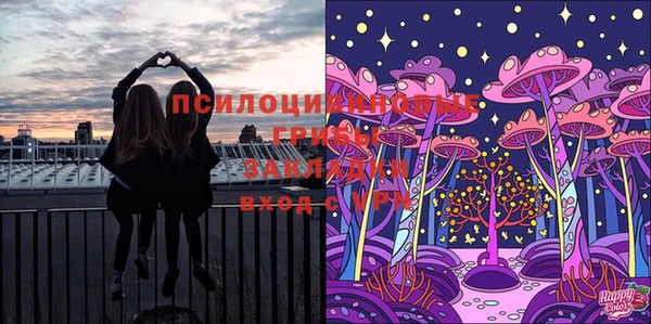 гидра Краснотурьинск